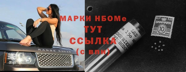 скорость Каменка