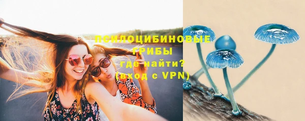 скорость Каменка