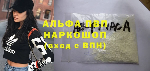 скорость Каменка