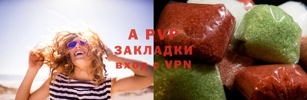 скорость Каменка