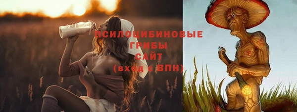 стаф Каменск-Шахтинский