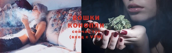 стаф Каменск-Шахтинский