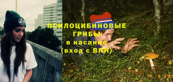 первитин Каменногорск