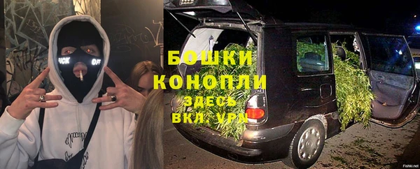 стаф Каменск-Шахтинский