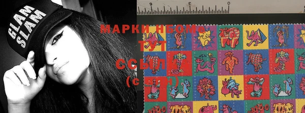 скорость Каменка